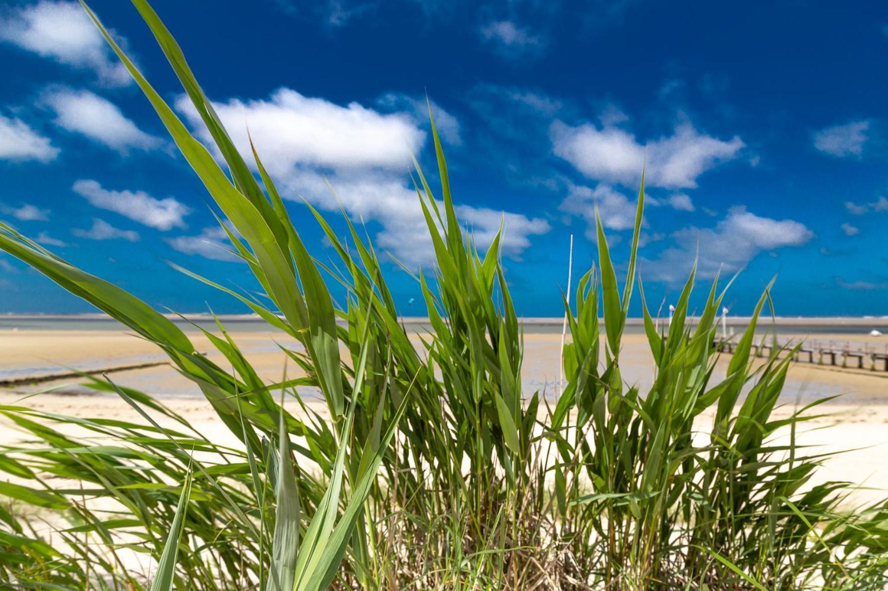 Wohnen Am Suedstrand - 1 5 * Wyk auf Föhr