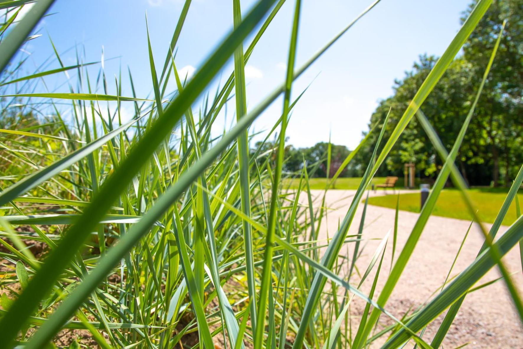 Wohnen Am Suedstrand - 1 5